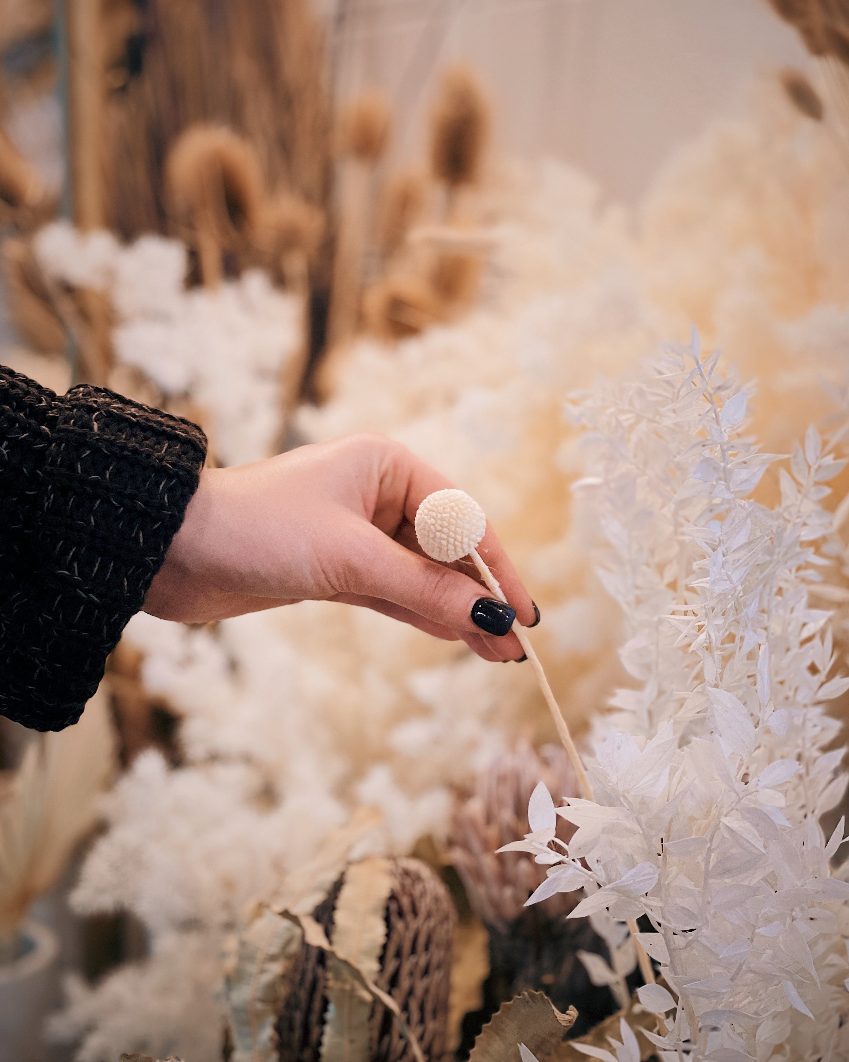 choose own dried flowers dried flowers brisbane