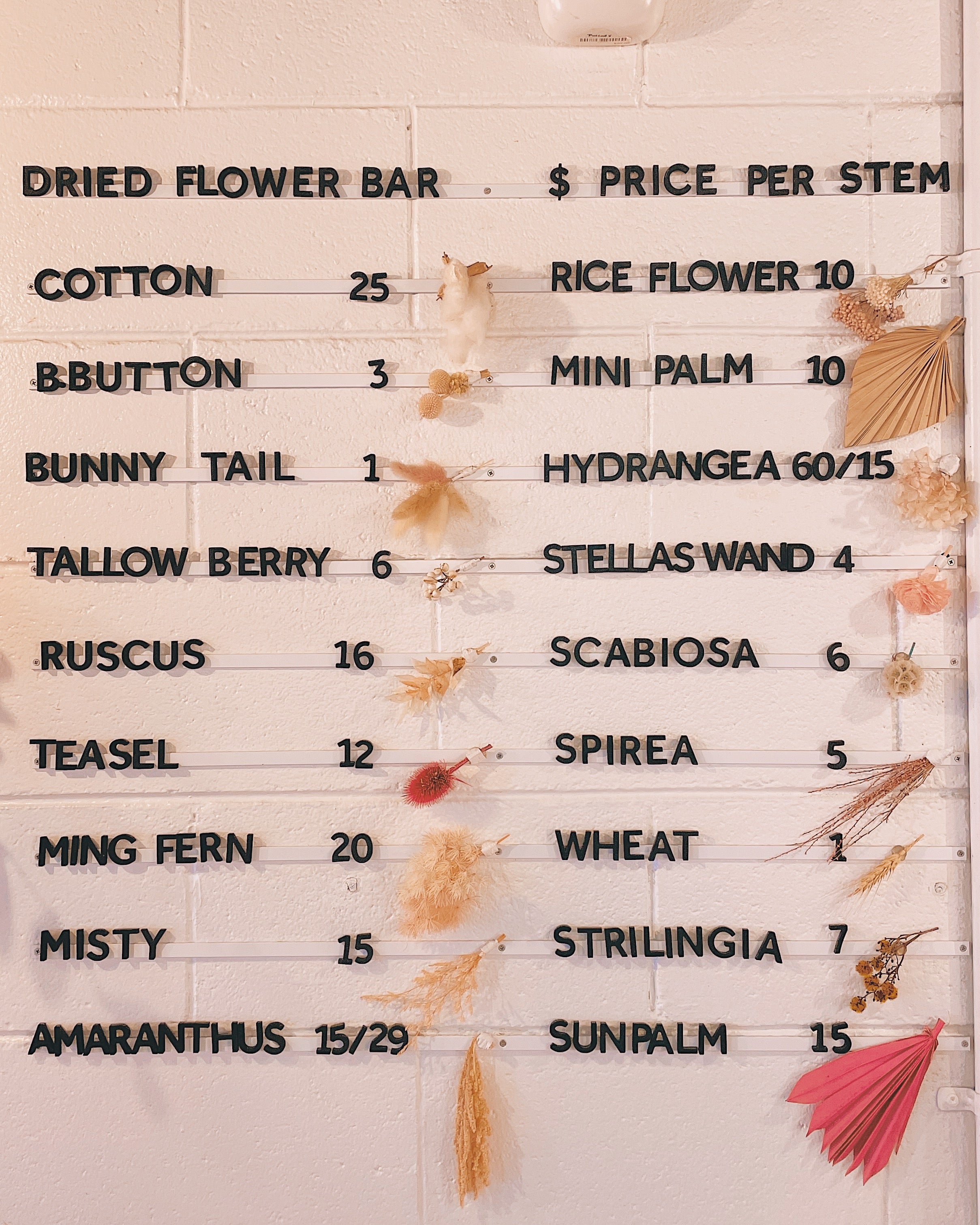 dried flower prices dried flowers Gold Coast