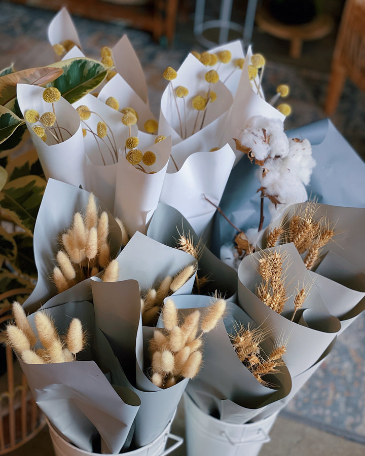 "Bunny Tails" Dried Flower Market Bunch