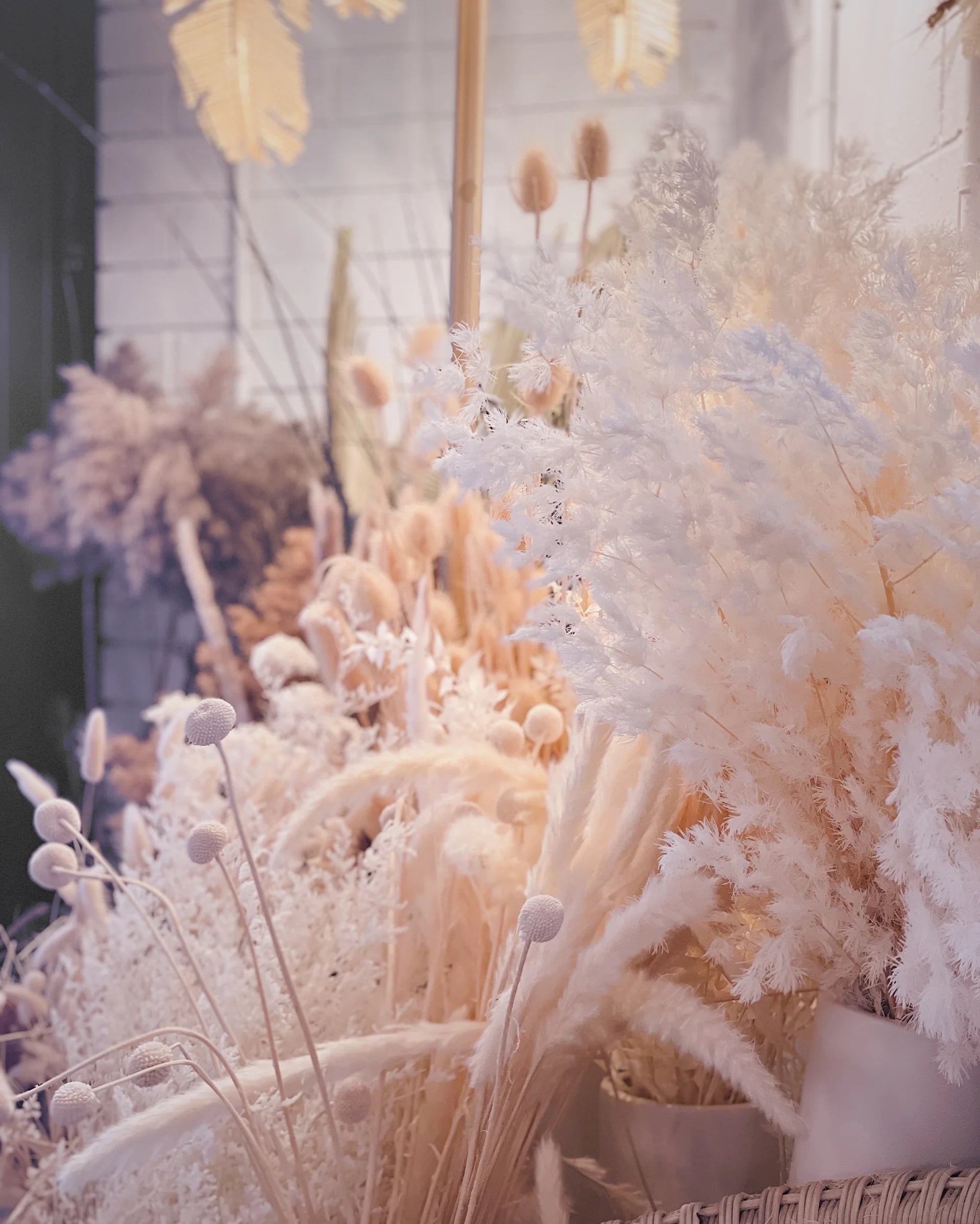 Florist_Dried_Flowers_Dried_Flower_Store_white_dried_flowers_dried_white_flowers
