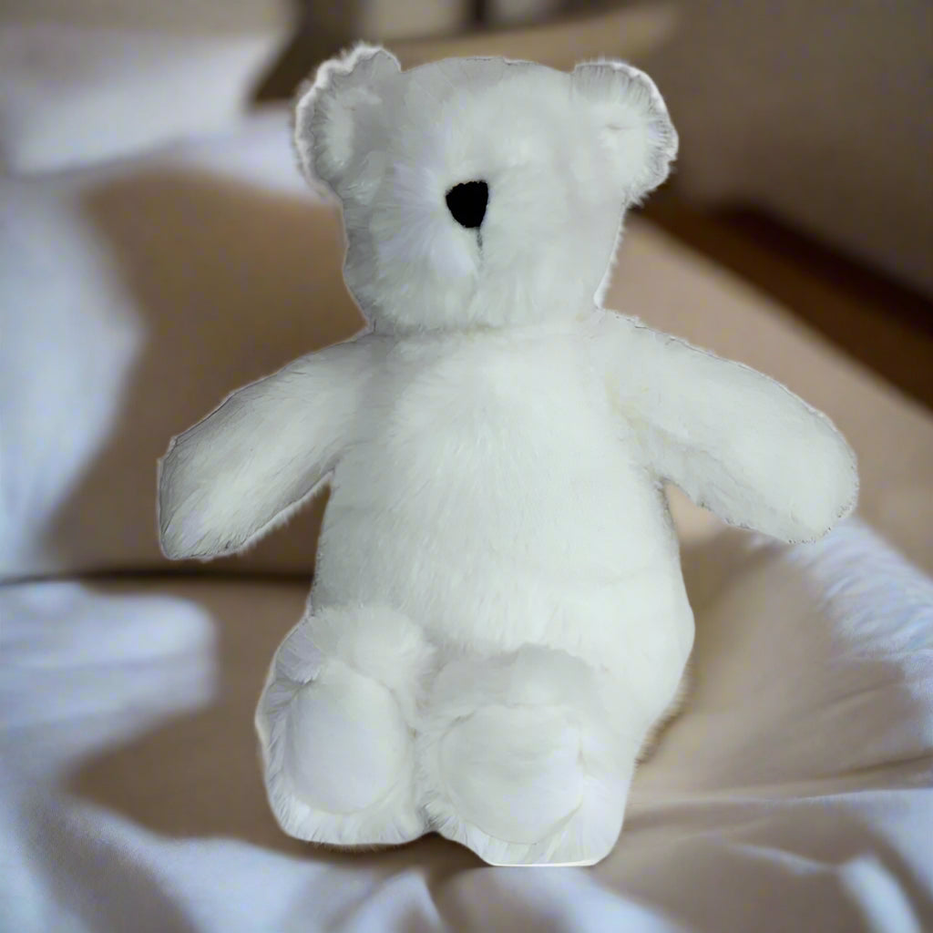 White teddy bear on a white background