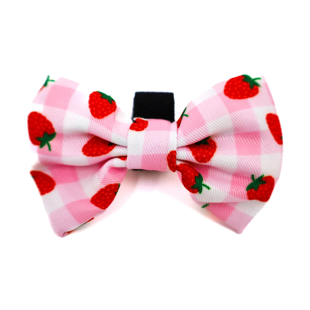 Strawberry Fields: Bow Tie