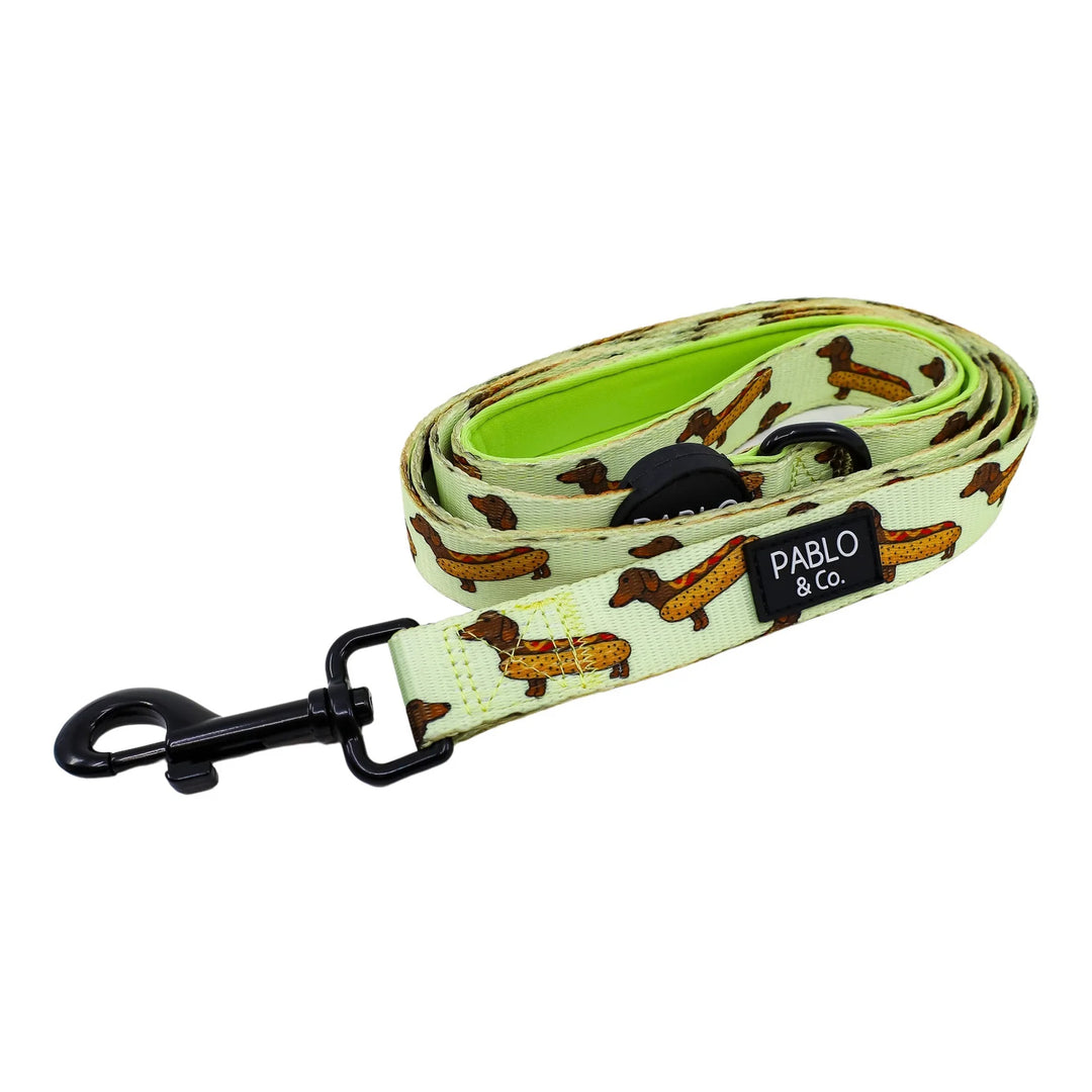 Weiner Dogs: Dog Leash