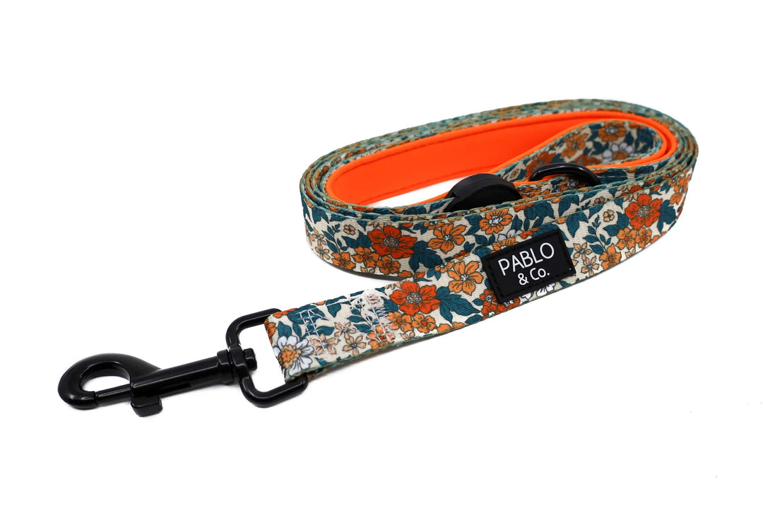 Wildflowers: Dog leash
