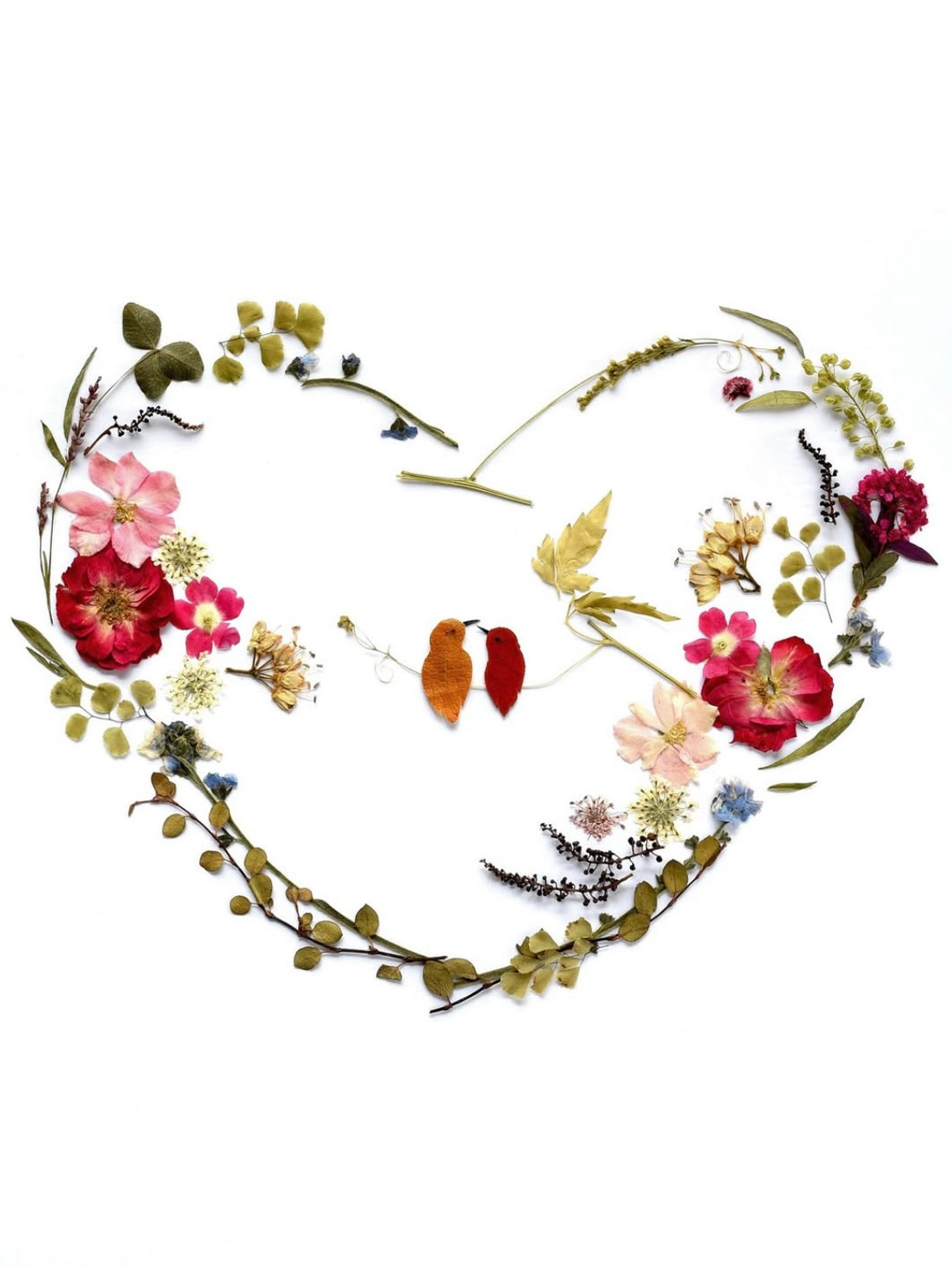 Love Birds - Greeting Card