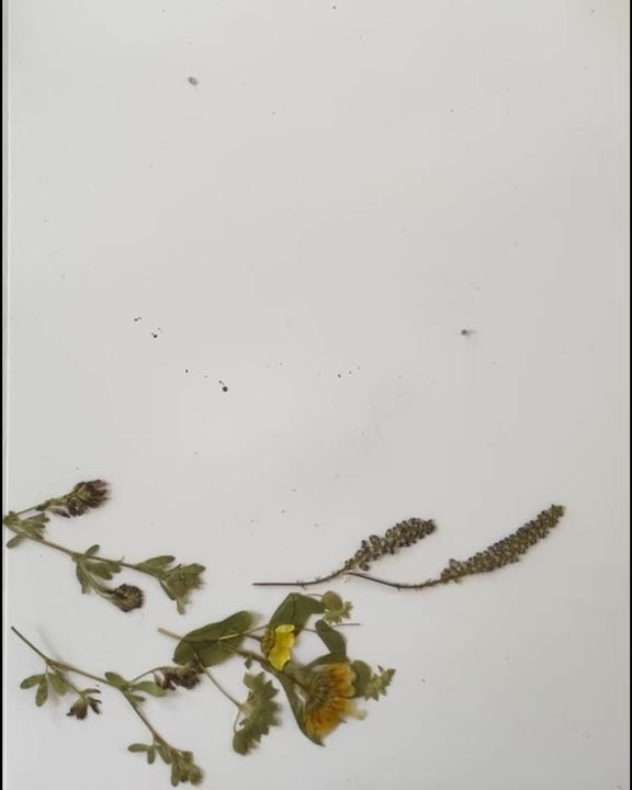 Mother - Greeting Card