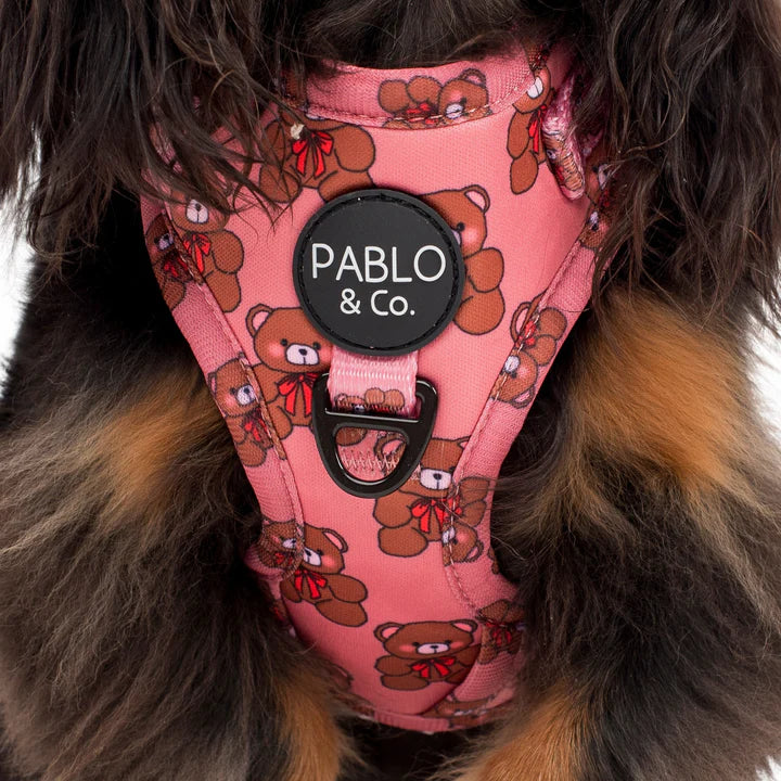 Teddies Harness Pablo Co. Unveiling Poppy