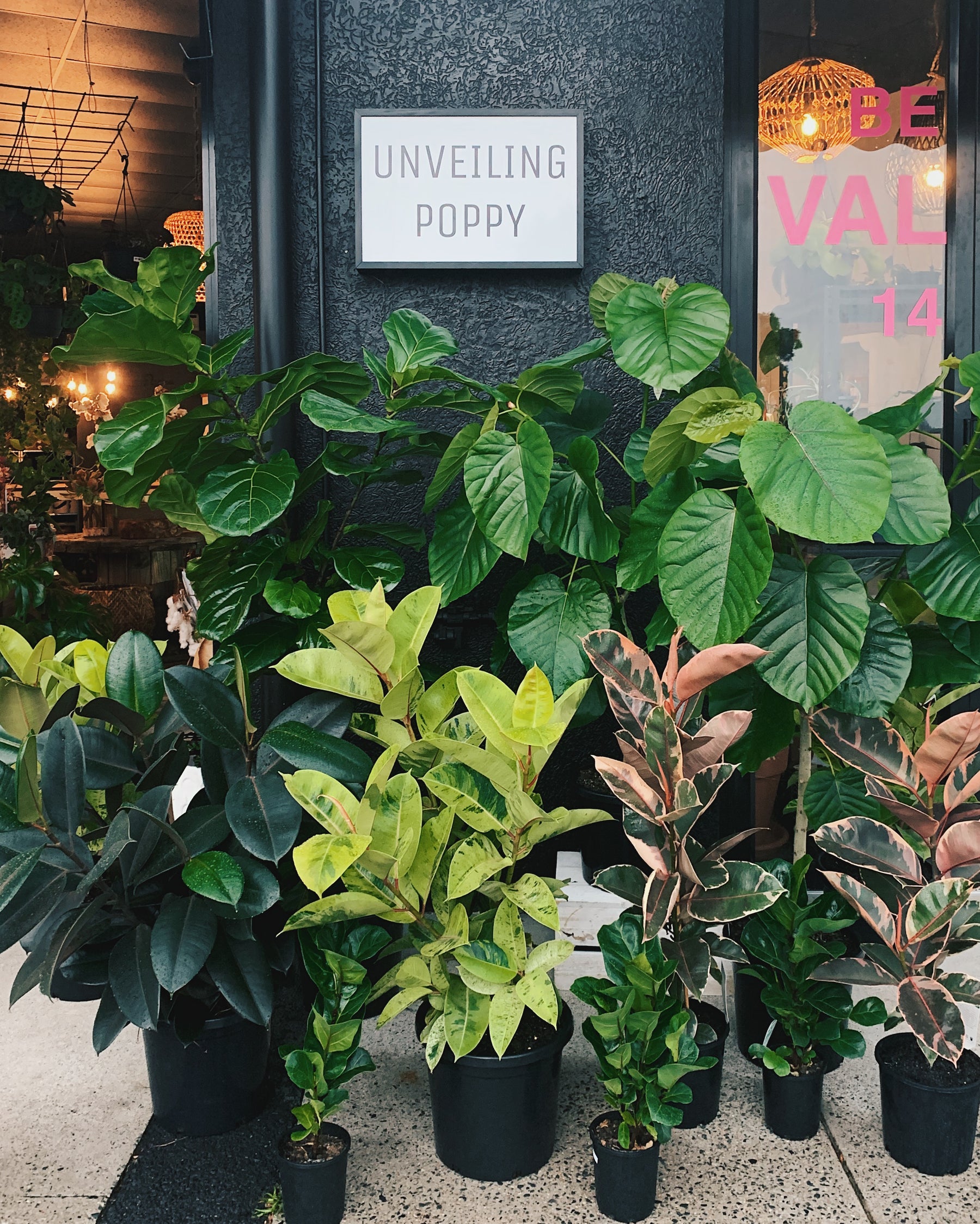 Unveiling Poppy Store