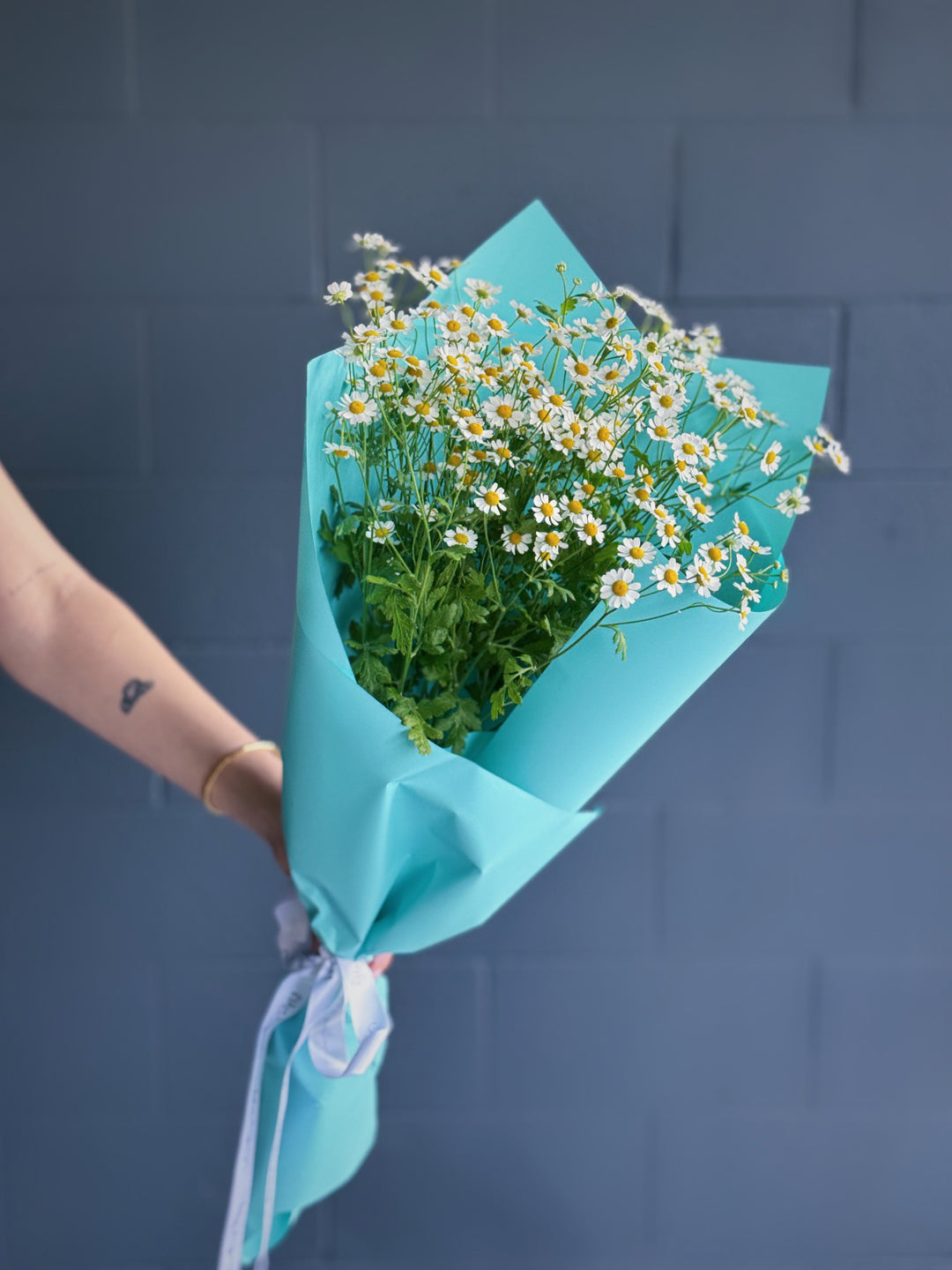 CHAMOMILE