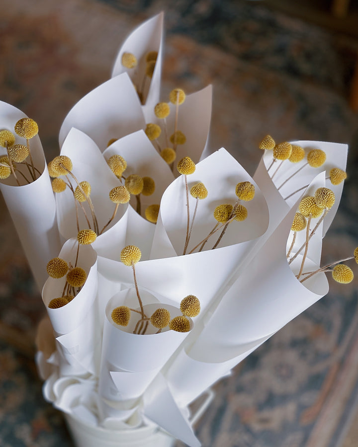 "Billy Buttons" Dried Flower Market Bunch