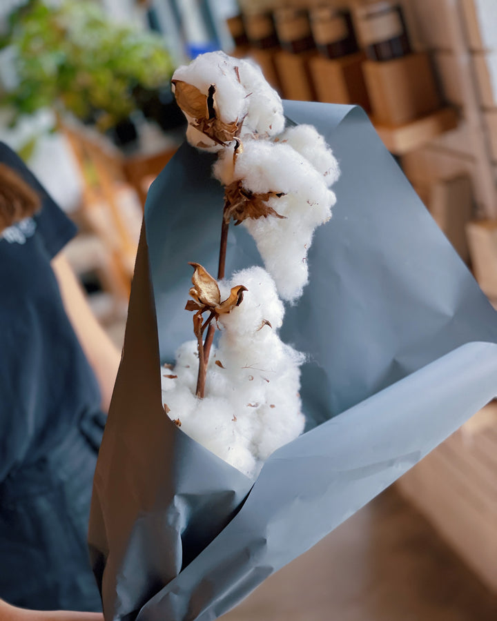 "Cotton" Dried White Flower Market Bunch