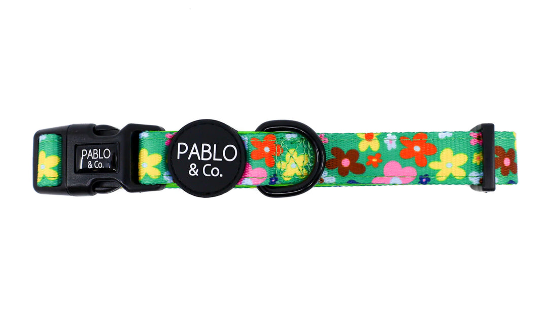 Funky Flowers: Collar