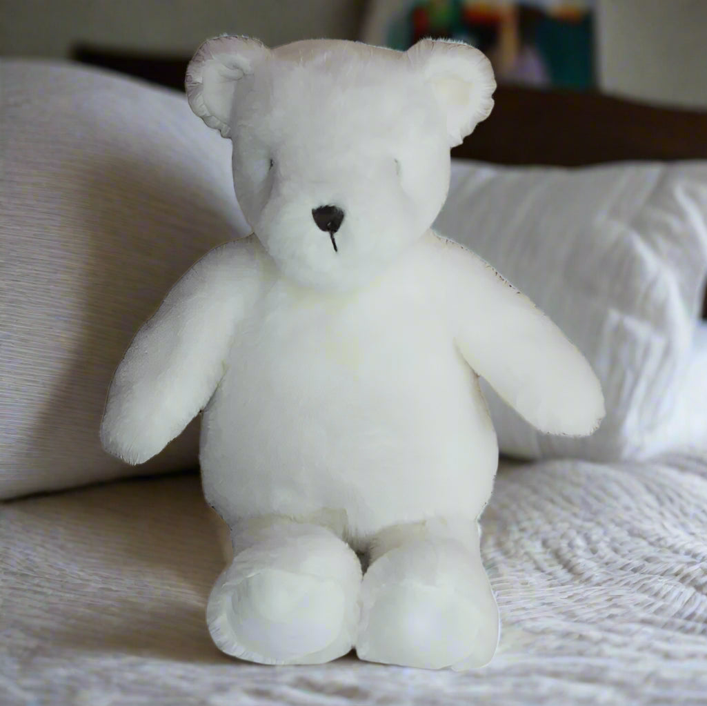 White teddy bear on a white background