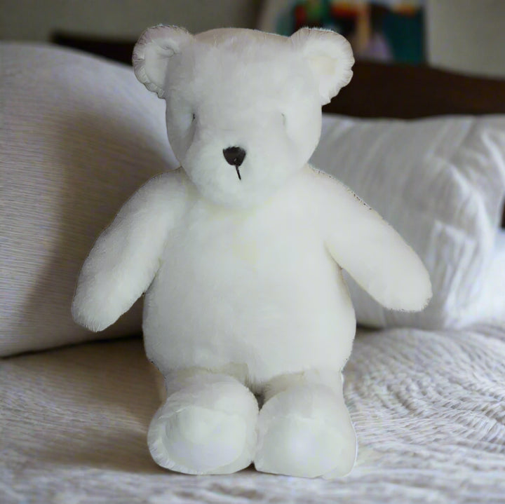 White teddy bear on a white background