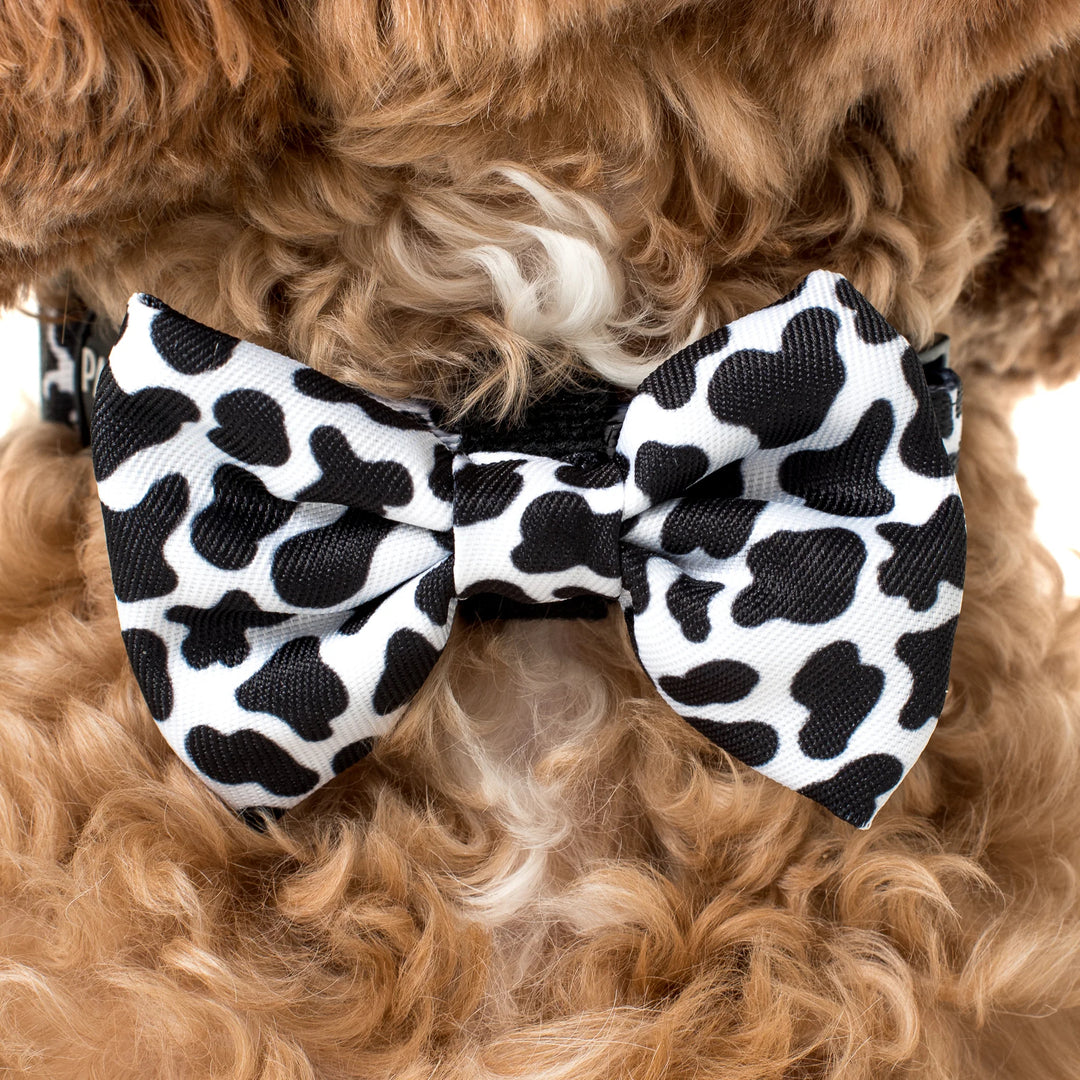 Moo Moo: Bow Tie
