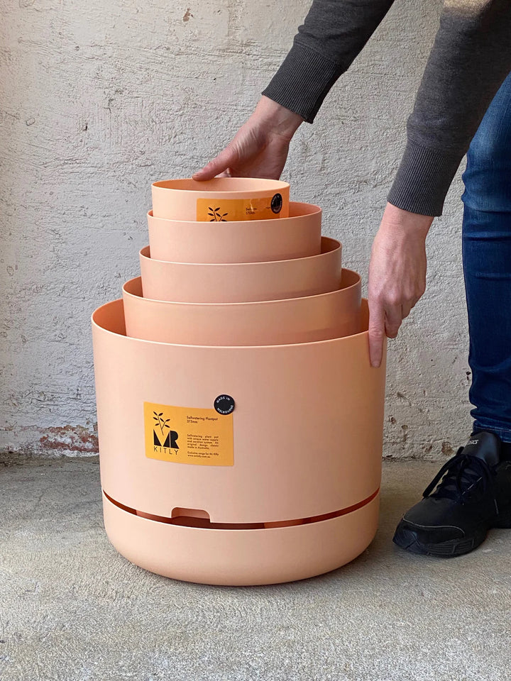 Mr Kitly Selfwatering Plant Pot 170mm