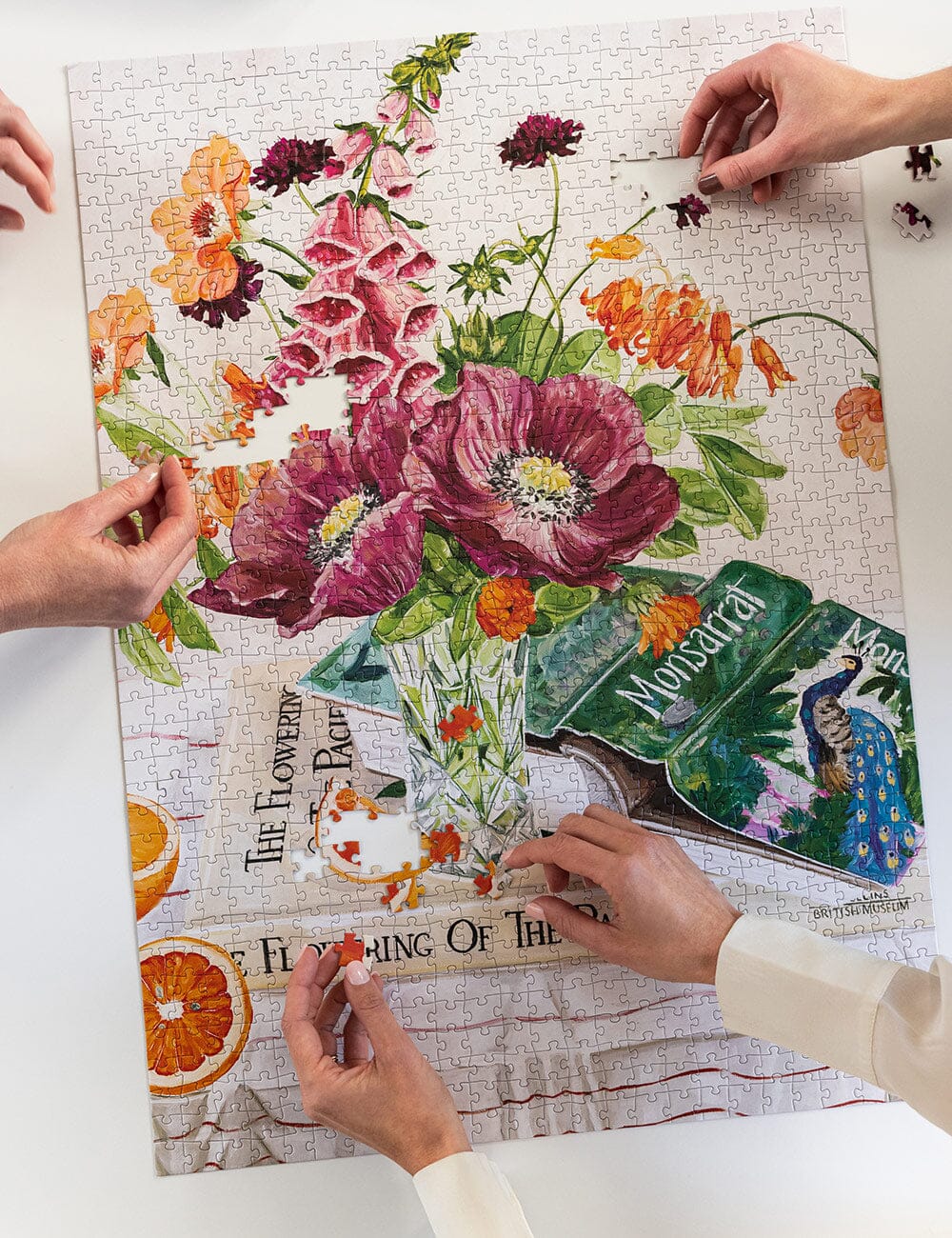 Poppies and Foxglove 1000 piece puzzle