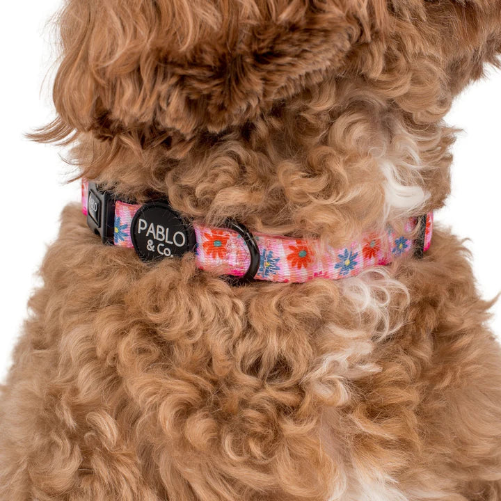Blossom: Collar