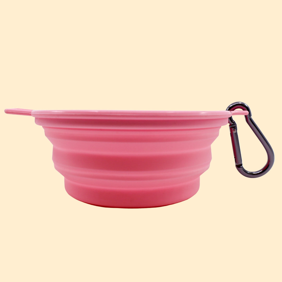 Collapsible Dog Bowl