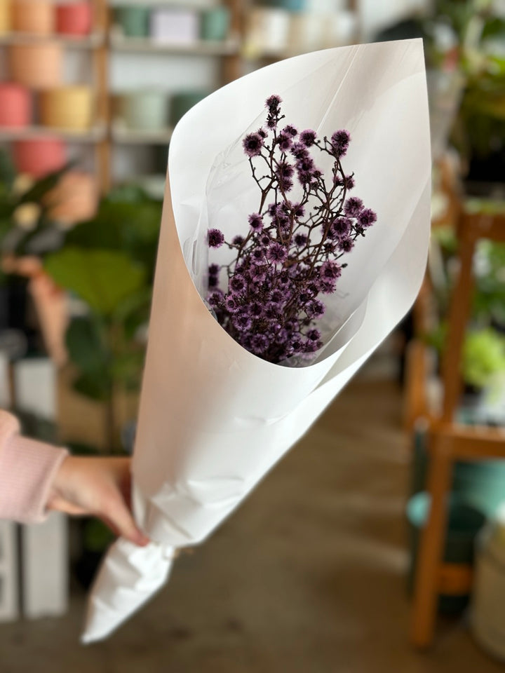"Strilingia" Dried Flower Market Bunch