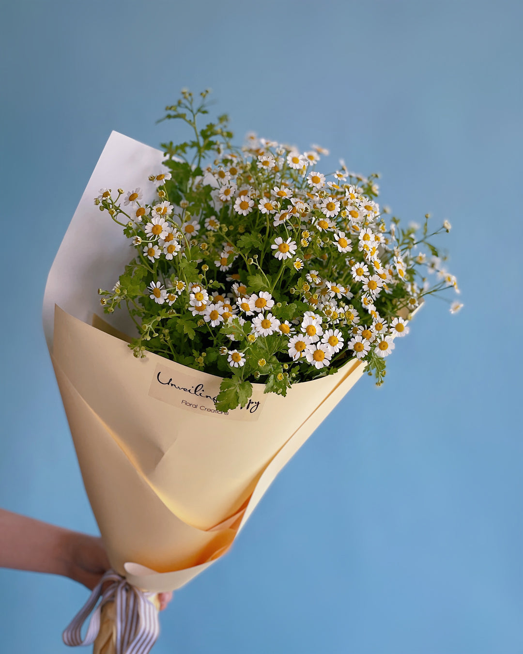 Flavour of the Month: CHAMOMILE