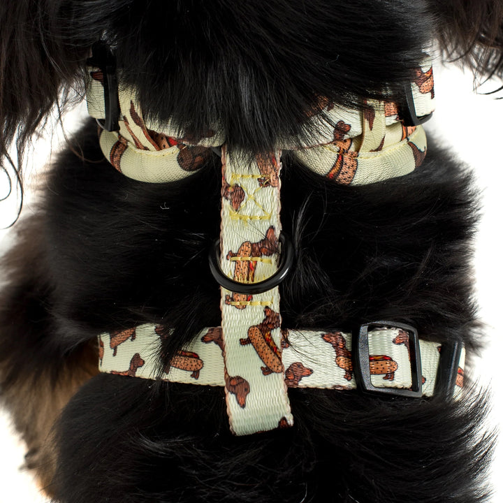 Weiner Dogs: Adjustable Harness