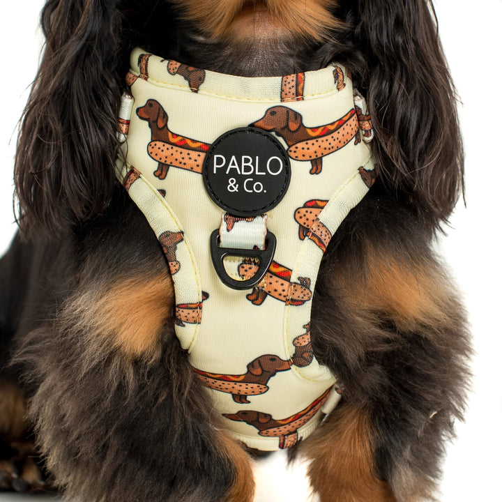Weiner Dogs: Adjustable Harness