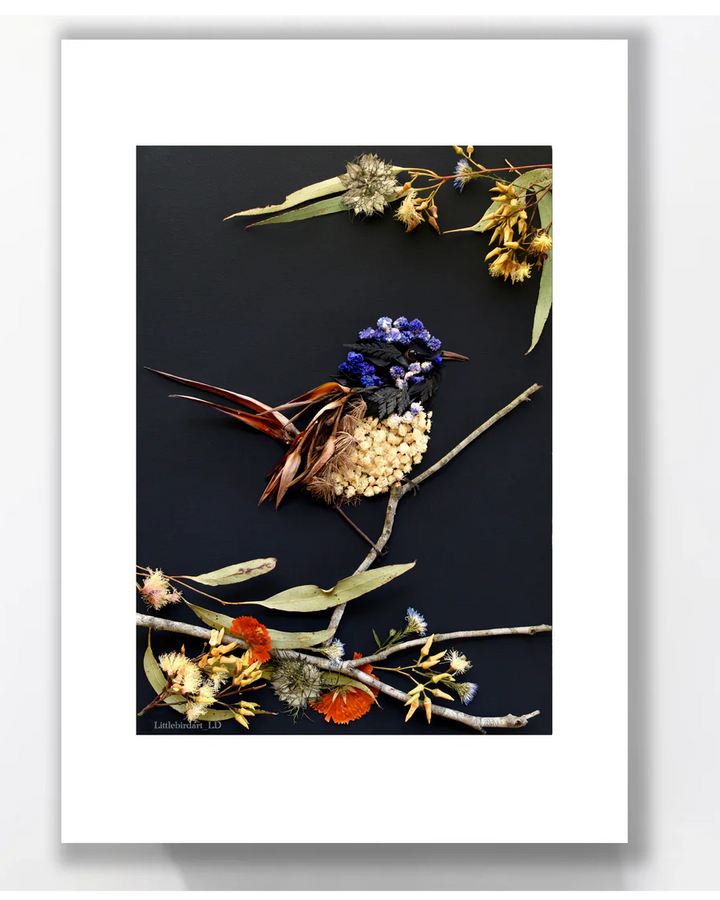Fairy Wren - Greeting Card