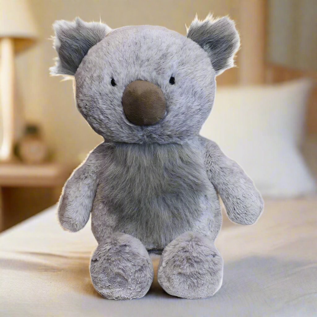 Kenny the appearance Koala Comes