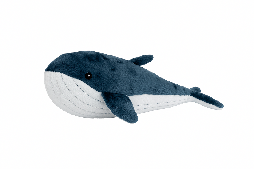Lulu the Whale