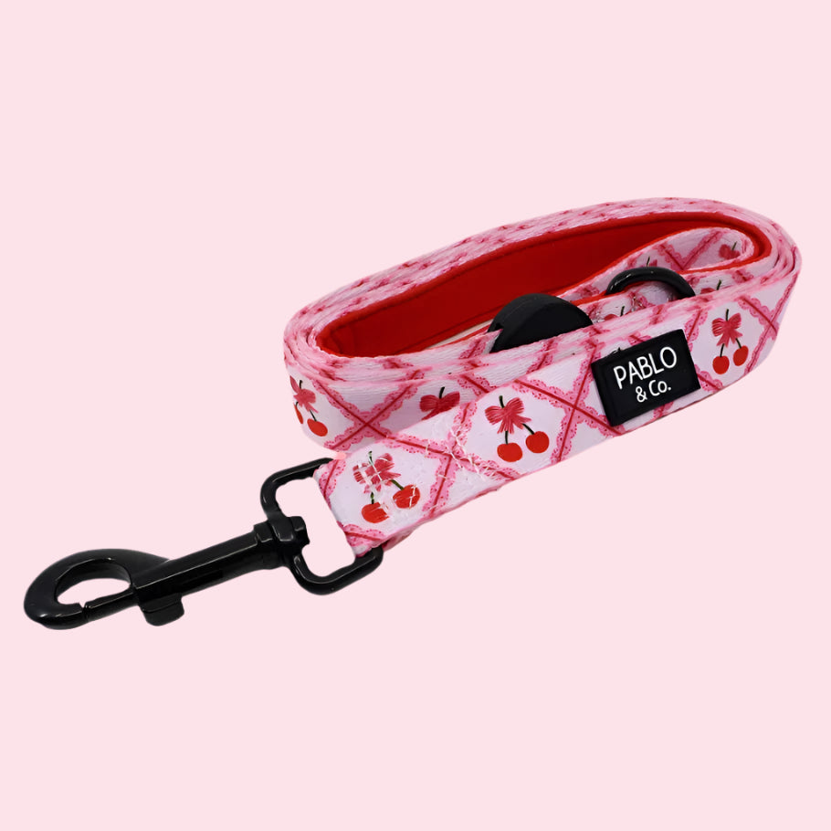 Ma Chérie: Dog Leash