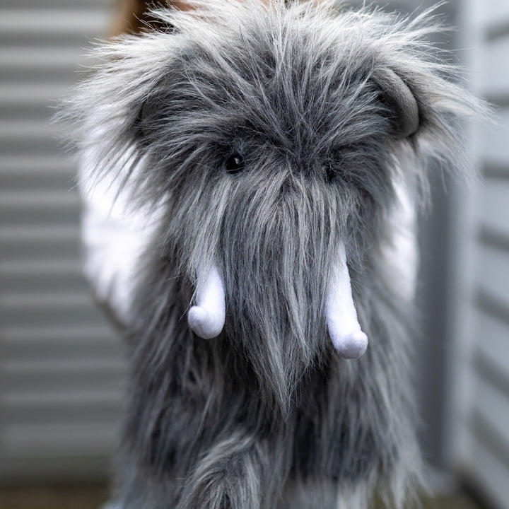 Monty the Mammoth
