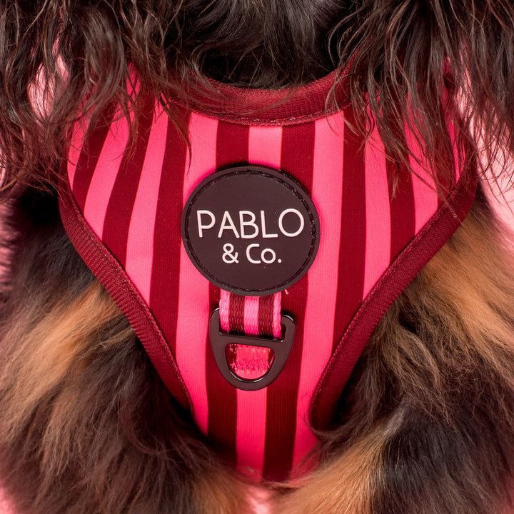 Blushing Stripes: Adjustable Harness