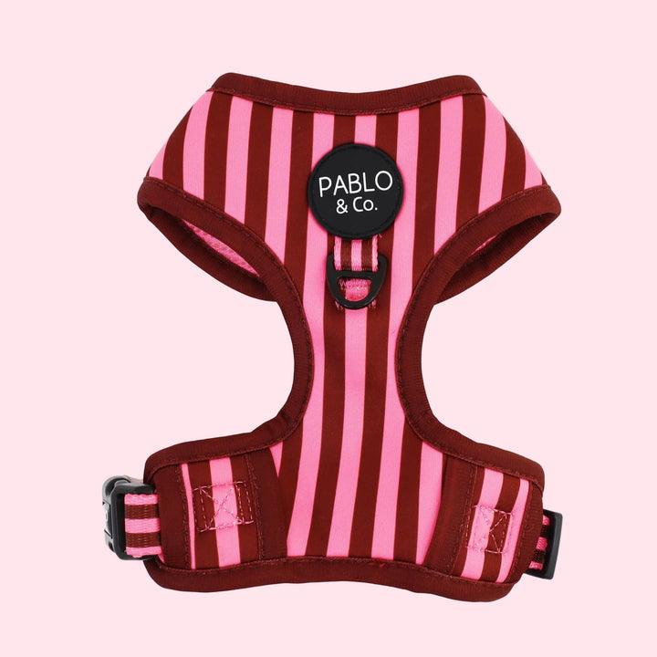 Blushing Stripes: Adjustable Harness