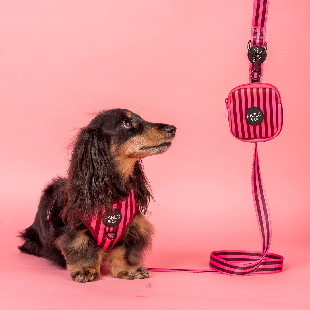 Blushing Stripes: Treat Pouch
