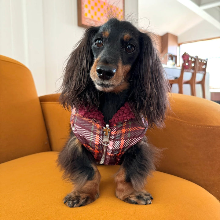 Camilla & Teddy: Puffer Vest