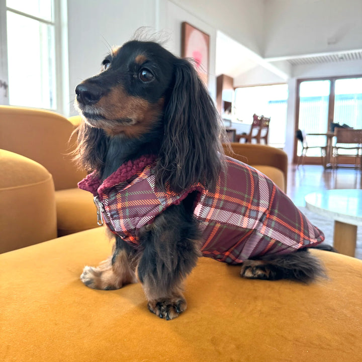 Camilla & Teddy: Puffer Vest