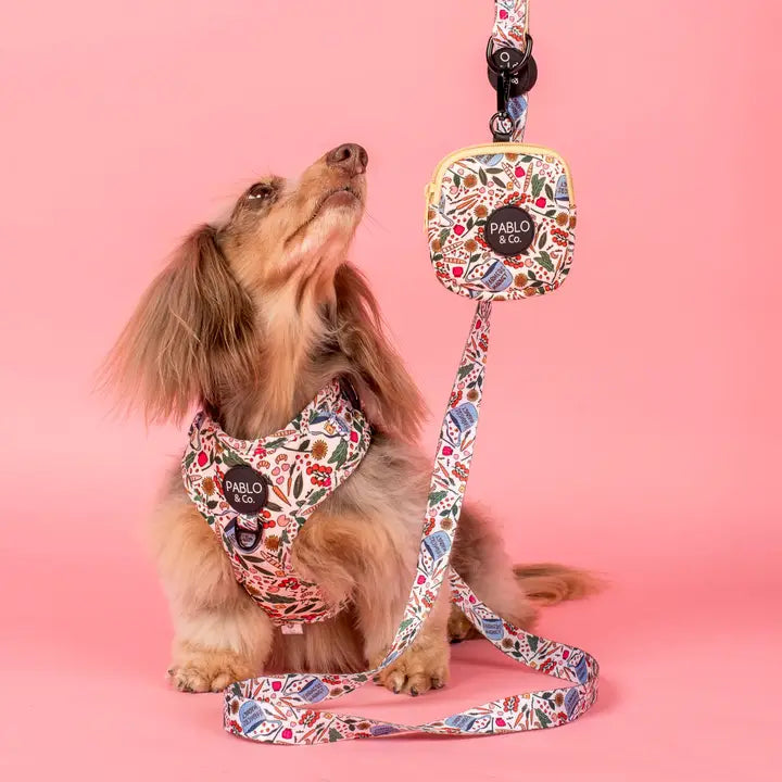 Farmers Market: Treat Pouch