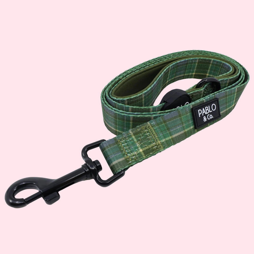 Green plaid dog leash with black clip on a white background, featuring the brand 'Pablo & Co'.
