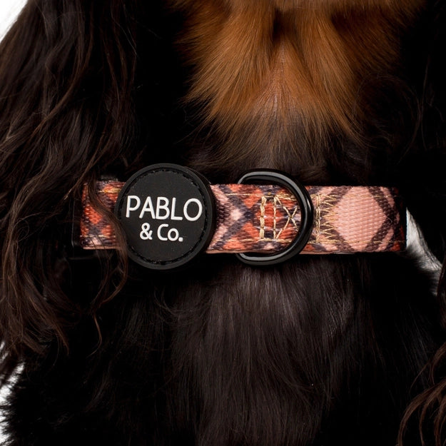 Kensington: Collar