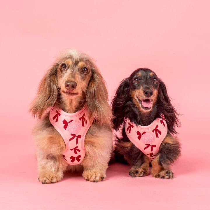 Velvet Blush Bows: Adjustable Harness