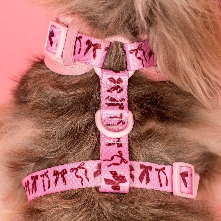 Velvet Blush Bows: Adjustable Harness