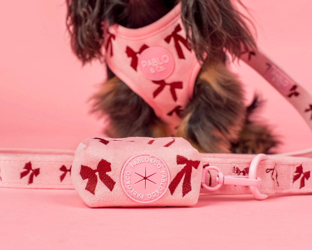 Pablo Co Boutique DOG ACCESSORIES – Page – Unveiling Poppy