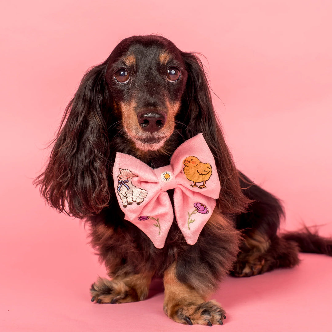 Easter Parade: Bow Tie