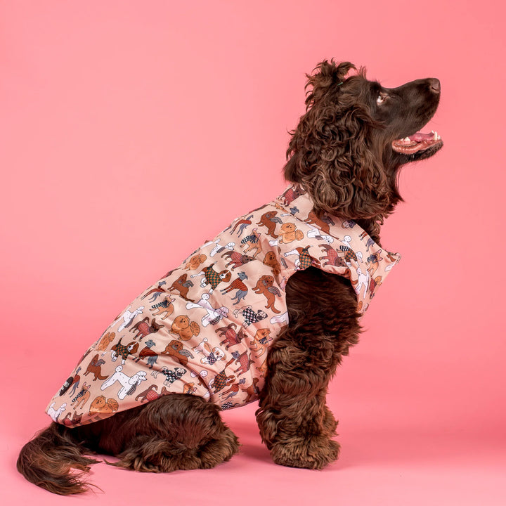 Winter Pooches & Kensington: Puffer Vest