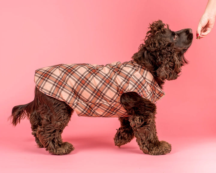 Winter Pooches & Kensington: Puffer Vest