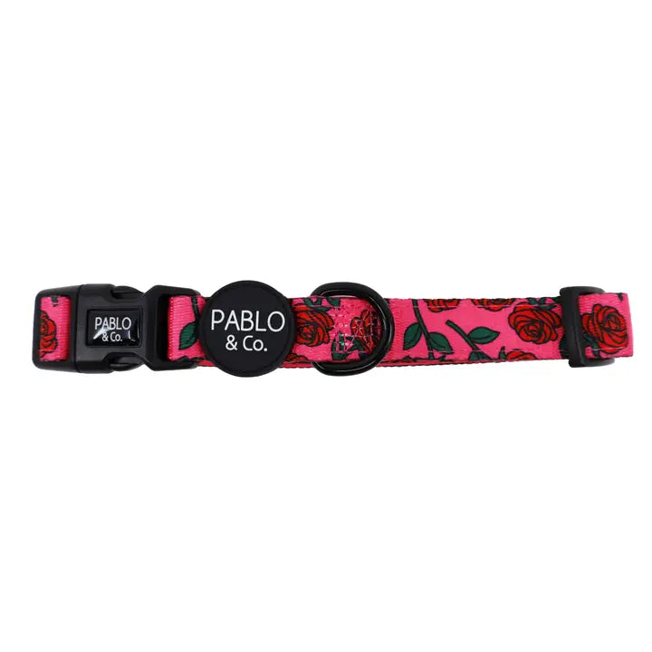 Rosie: Collar