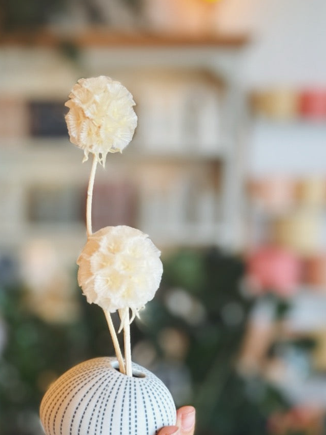 "Sea Grass Mini" Dried Flower Arrangement