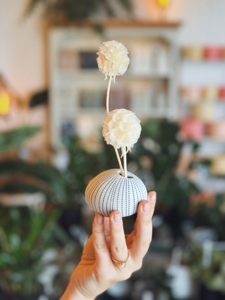 "Sea Grass Mini" Dried Flower Arrangement