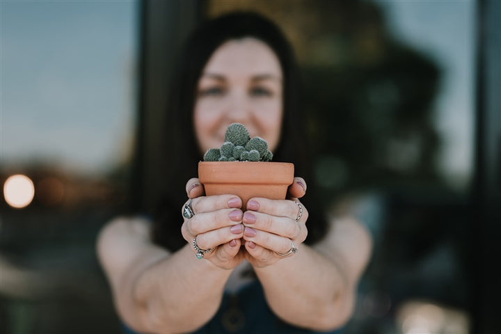 Plant Care & Propagation 101 Workshop
